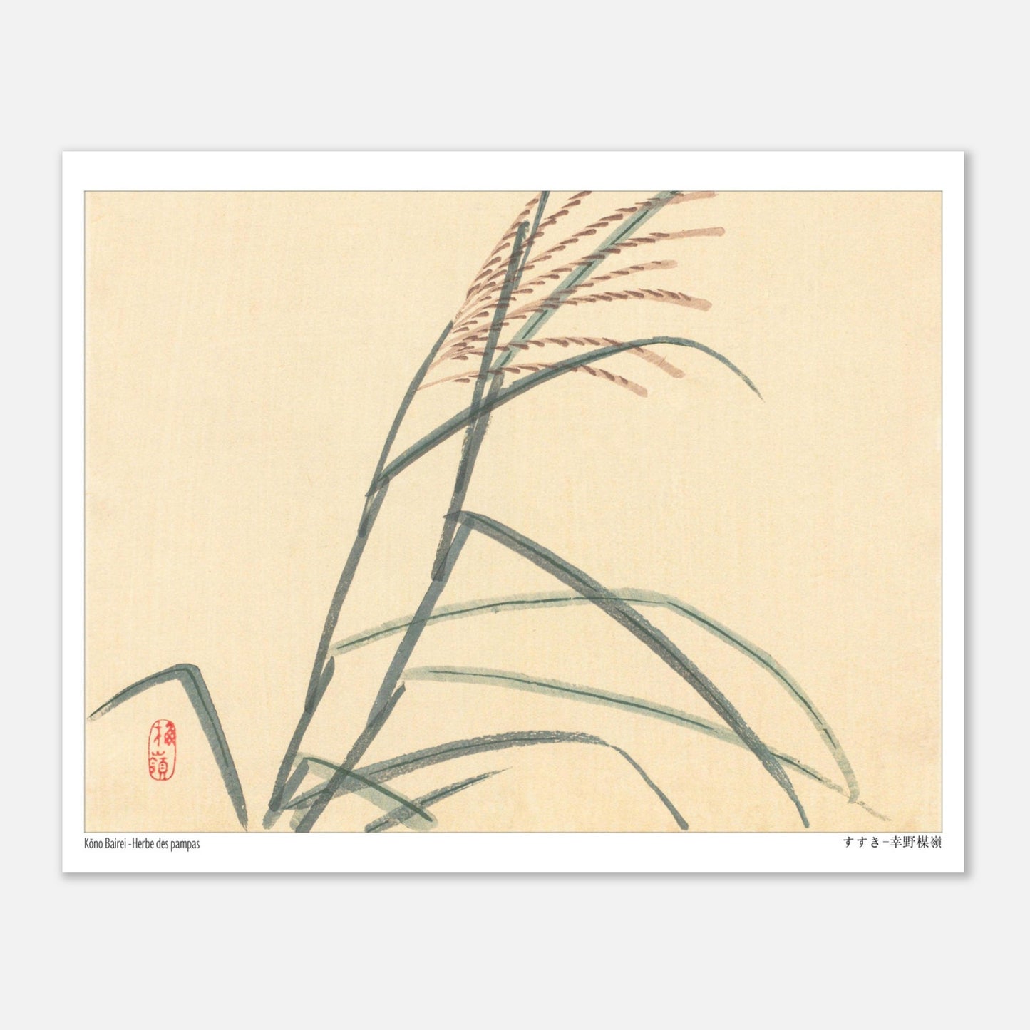 Herbe des pampas (Susuki), estampe japonaise par Kōno Bairei (20x25 cm). Estampe japonaise représentant des tiges de roseaux avec des épis, sur un fond clair.