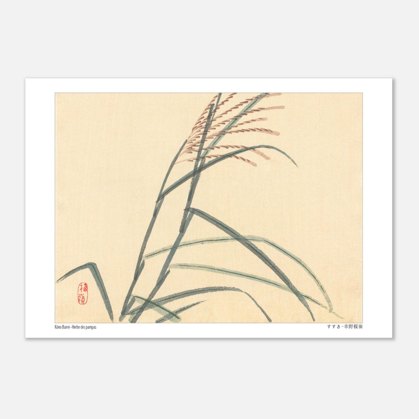 Herbe des pampas (Susuki), estampe japonaise par Kōno Bairei (21x29,7 cm (A4)). Estampe japonaise représentant des tiges de roseaux avec des épis, sur un fond clair.