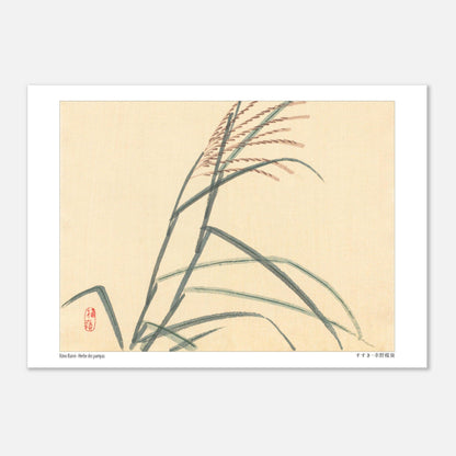 Herbe des pampas (Susuki), estampe japonaise par Kōno Bairei (21x29,7 cm (A4)). Estampe japonaise représentant des tiges de roseaux avec des épis, sur un fond clair.