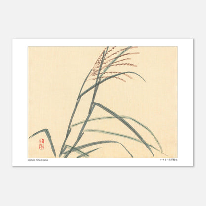 Herbe des pampas (Susuki), estampe japonaise par Kōno Bairei (29,7x42 cm (A3)). Estampe japonaise représentant des tiges de roseaux avec des épis, sur un fond clair.