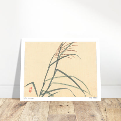 Herbe des pampas (Susuki), estampe japonaise par Kōno Bairei. Estampe japonaise représentant des tiges de roseaux avec des épis, sur un fond clair. Image d'illustration 6