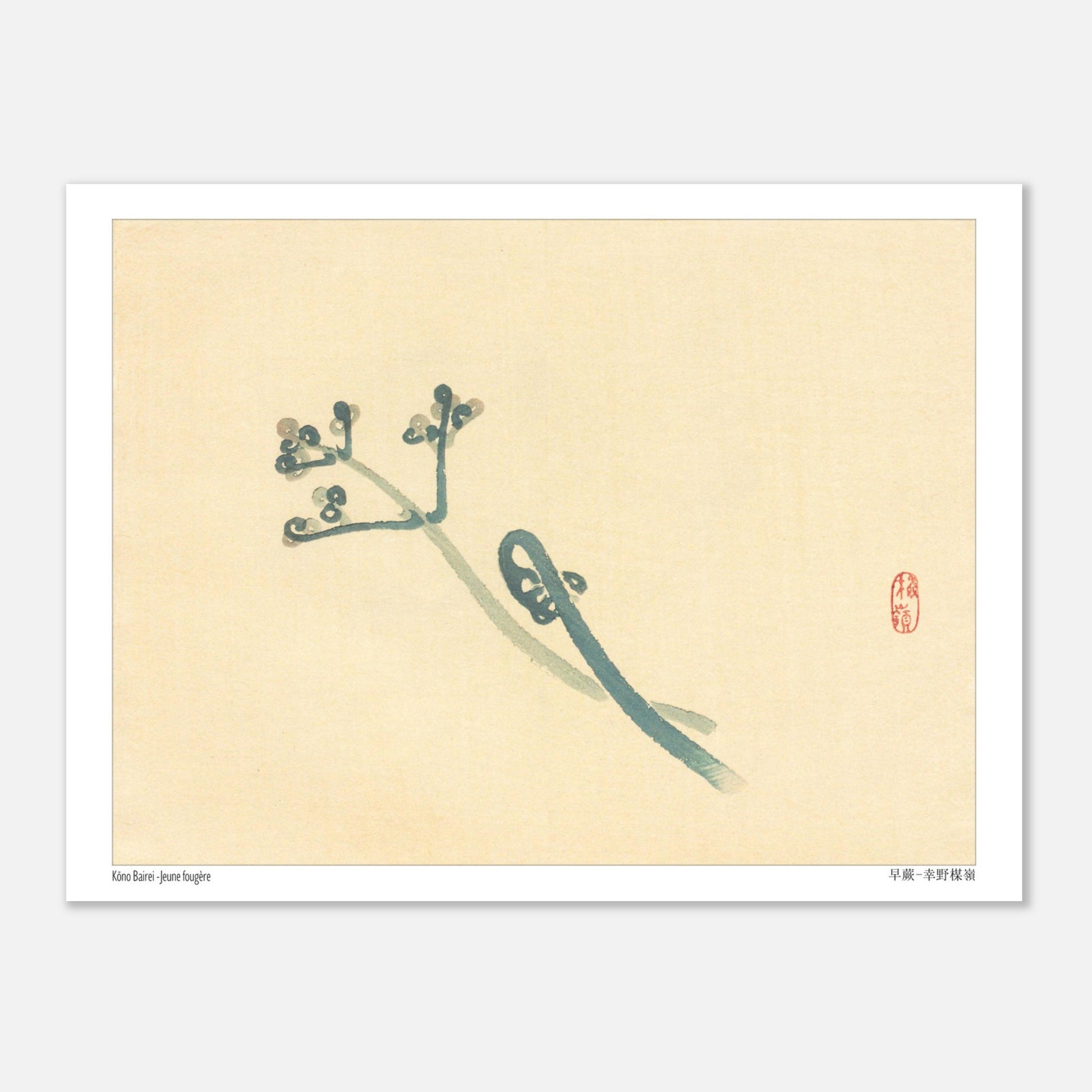 Illustration Botanique d'une Jeune Fougère par Kōno Bairei (15x20 cm). Une estampe japonaise représentant une jeune fougère aux teintes bleutées sur un fond beige.