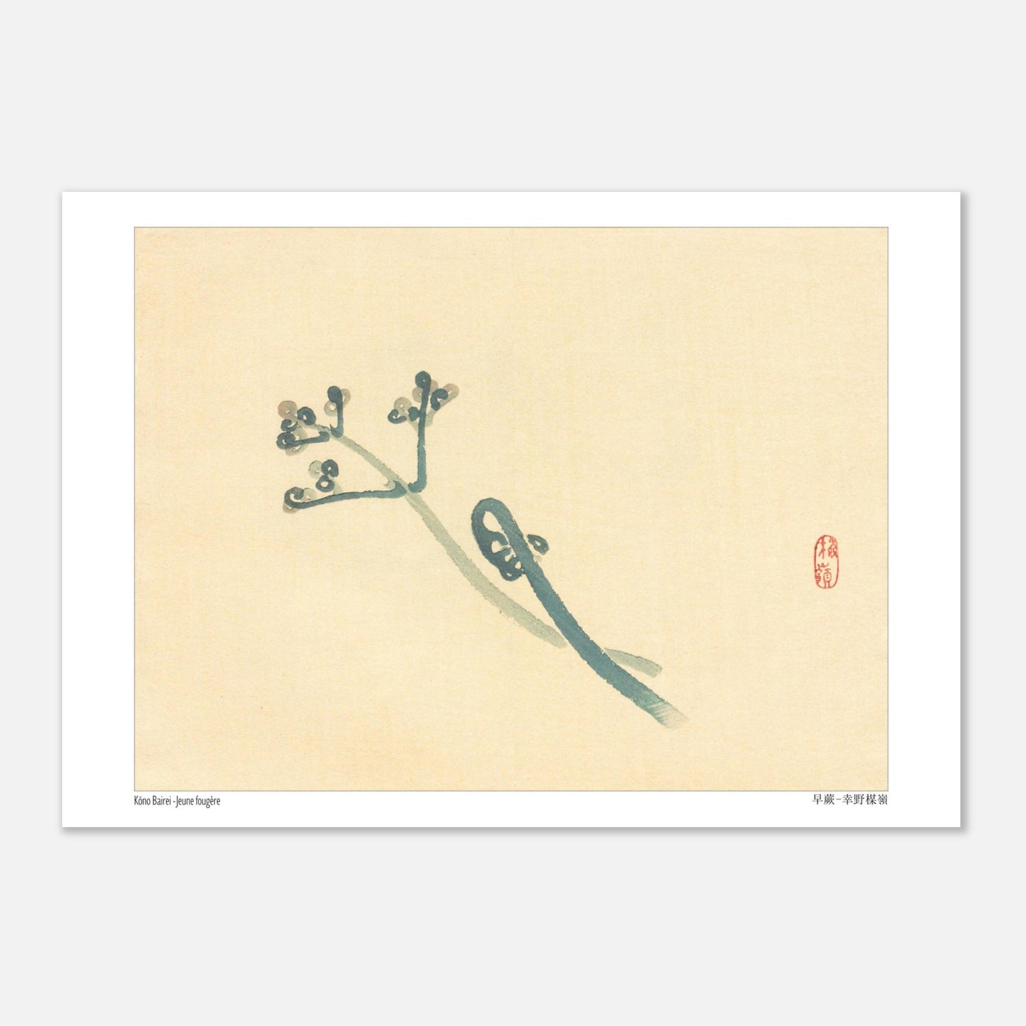 Illustration Botanique d'une Jeune Fougère par Kōno Bairei (21x29,7 cm (A4)). Une estampe japonaise représentant une jeune fougère aux teintes bleutées sur un fond beige.