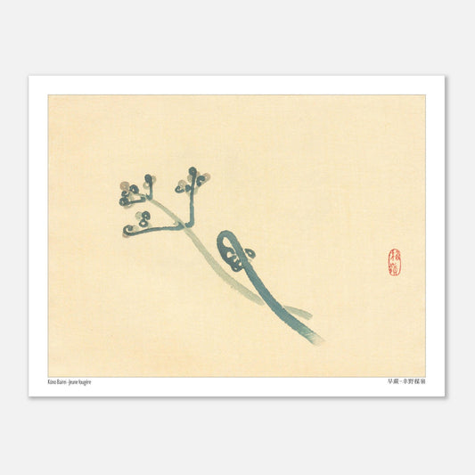 Illustration Botanique d'une Jeune Fougère par Kōno Bairei (27x35 cm). Une estampe japonaise représentant une jeune fougère aux teintes bleutées sur un fond beige.