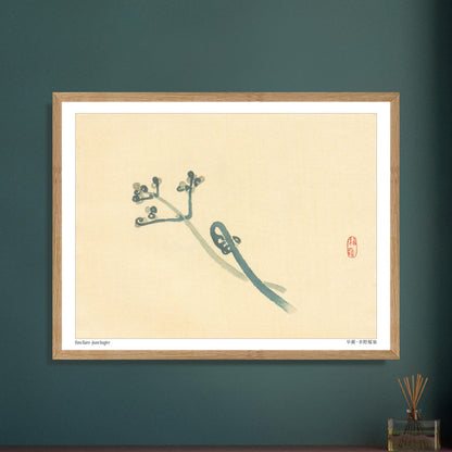 Illustration Botanique d'une Jeune Fougère par Kōno Bairei. Une estampe japonaise représentant une jeune fougère aux teintes bleutées sur un fond beige. Image d'illustration 5