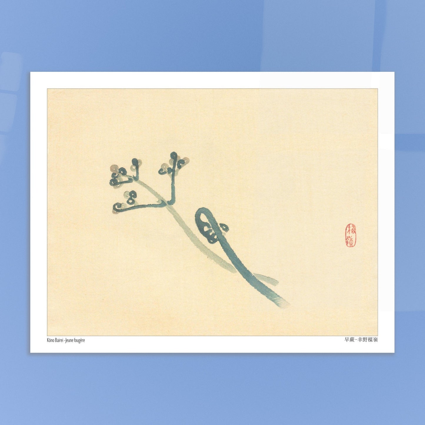 Illustration Botanique d'une Jeune Fougère par Kōno Bairei. Une estampe japonaise représentant une jeune fougère aux teintes bleutées sur un fond beige. Image d'illustration 6