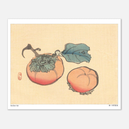 Illustration Naturaliste de Kakis par Kōno Bairei (20x25 cm). Illustration naturaliste de Kōno Bairei représentant deux kakis, l'un avec une feuille, sur fond beige.