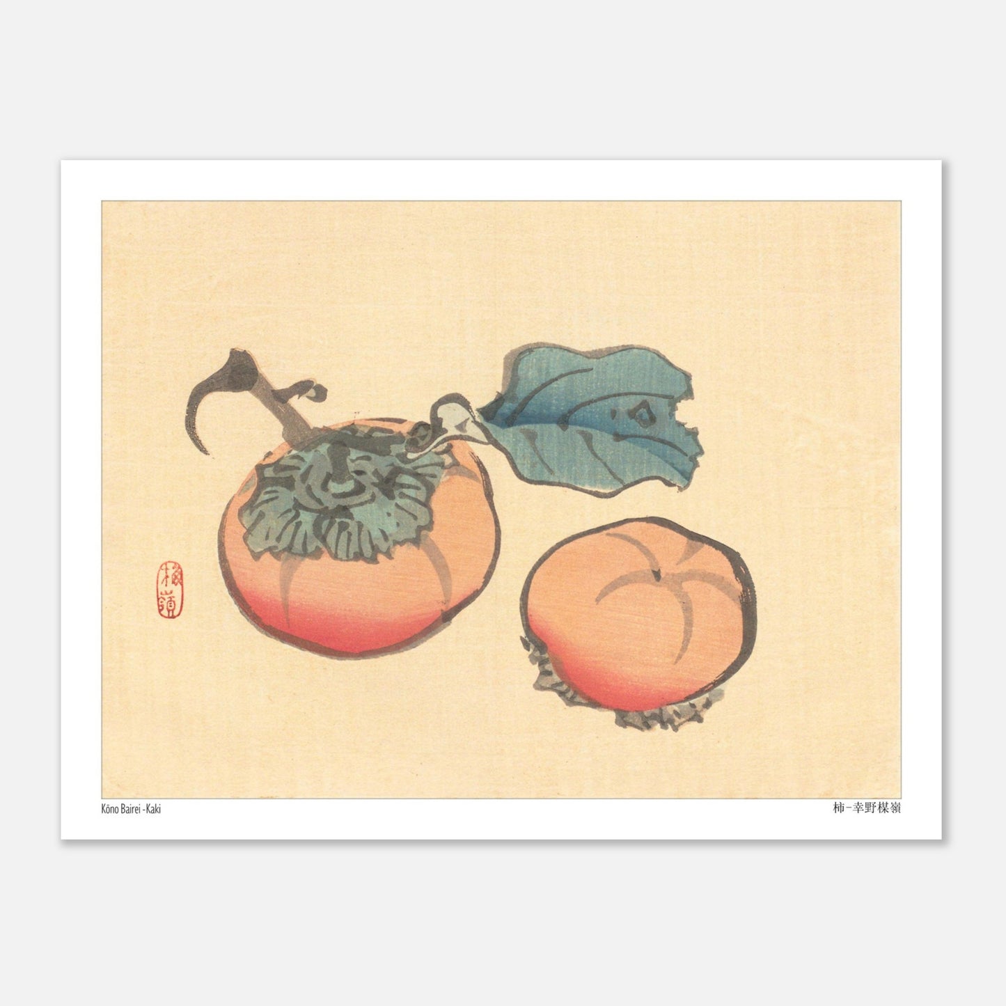 Illustration Naturaliste de Kakis par Kōno Bairei (27x35 cm). Illustration naturaliste de Kōno Bairei représentant deux kakis, l'un avec une feuille, sur fond beige.