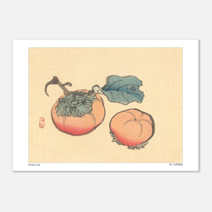 Illustration Naturaliste de Kakis par Kōno Bairei (29,7x42 cm (A3)). Illustration naturaliste de Kōno Bairei représentant deux kakis, l'un avec une feuille, sur fond beige.