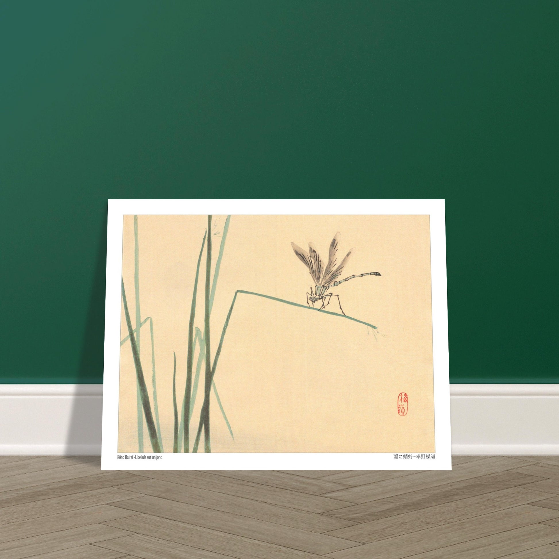 Libellule sur un jonc, estampe naturaliste de Kōno Bairei. Illustration naturaliste de Kōno Bairei représentant une libellule perchée sur un jonc vert, avec des brins d'herbe en arrière-plan sur fond beige. Image d'illustration 5