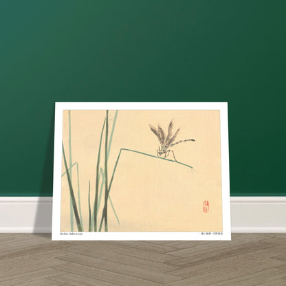 Libellule sur un jonc, estampe naturaliste de Kōno Bairei. Illustration naturaliste de Kōno Bairei représentant une libellule perchée sur un jonc vert, avec des brins d'herbe en arrière-plan sur fond beige. Image d'illustration 5