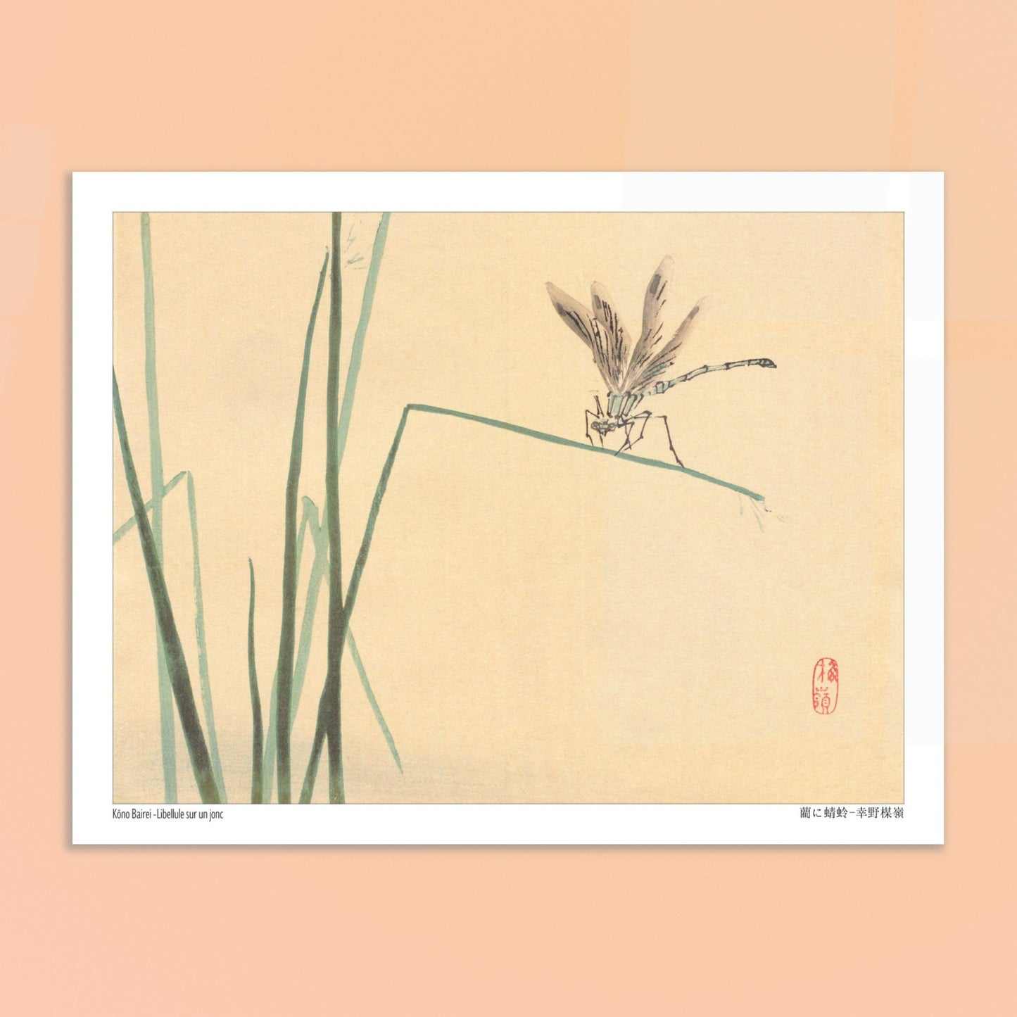 Libellule sur un jonc, estampe naturaliste de Kōno Bairei. Illustration naturaliste de Kōno Bairei représentant une libellule perchée sur un jonc vert, avec des brins d'herbe en arrière-plan sur fond beige. Image d'illustration 6