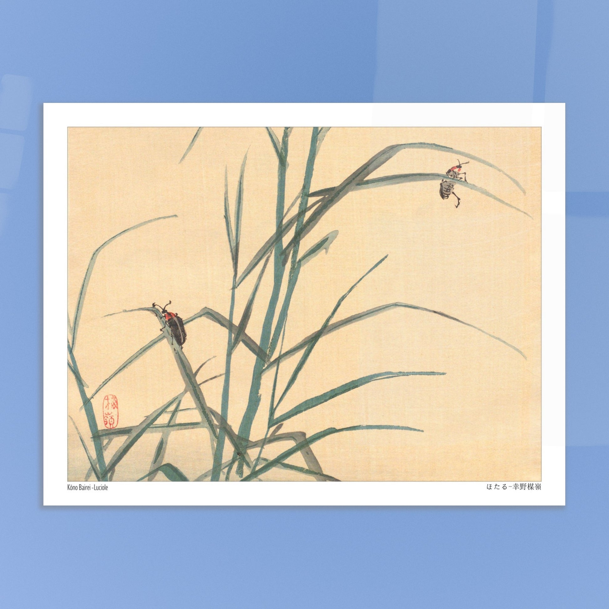 Estampe Japonaise de Lucioles (ほたる) par Kōno Bairei. Illustration japonaise de deux lucioles sur des tiges d'herbe verte. Image d'illustration 6