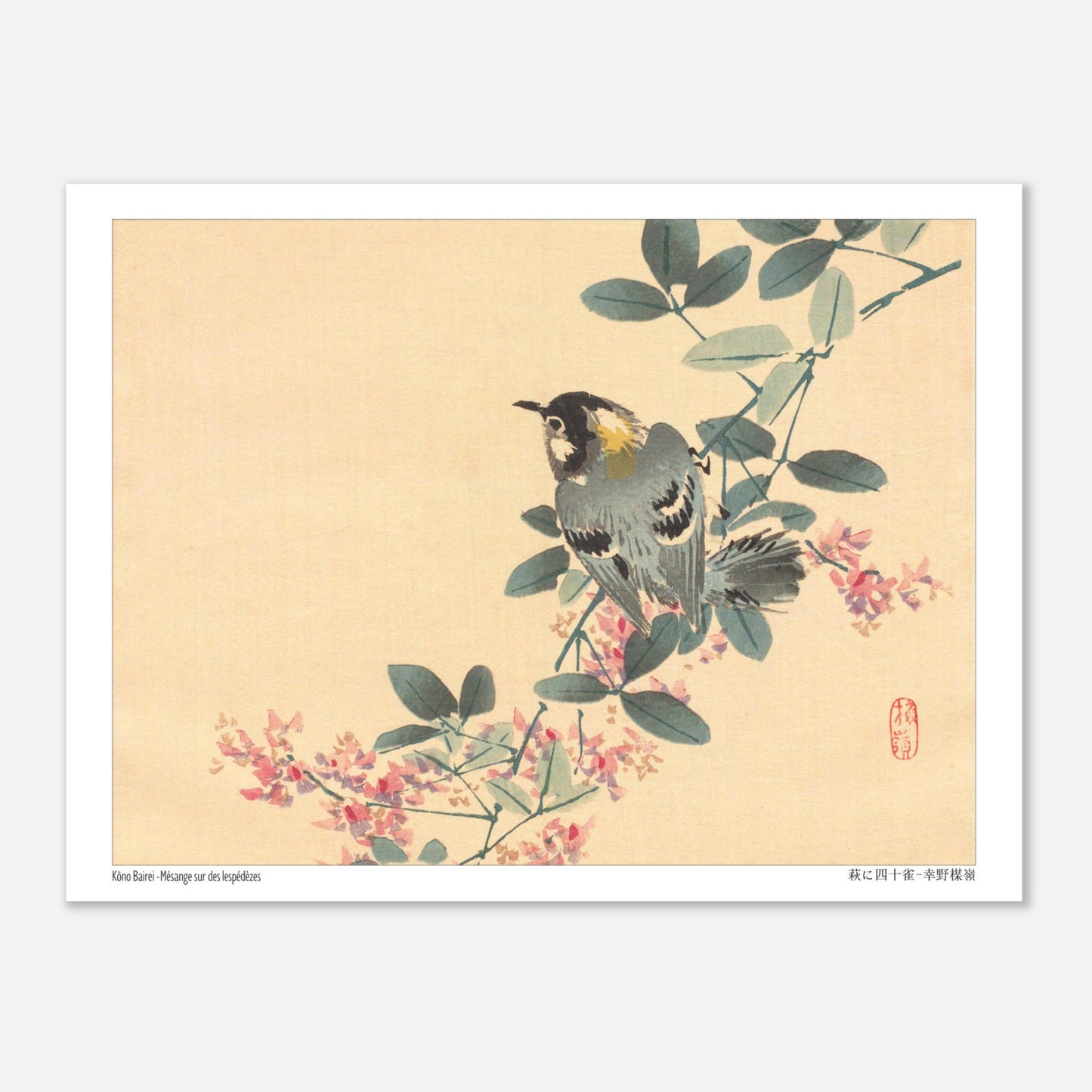 Estampe Japonaise d'une Mésange sur une Branche de Lespédèze par Kōno Bairei (15x20 cm). Une estampe japonaise représentant une mésange perchée sur une branche fleurie de lespédèze.