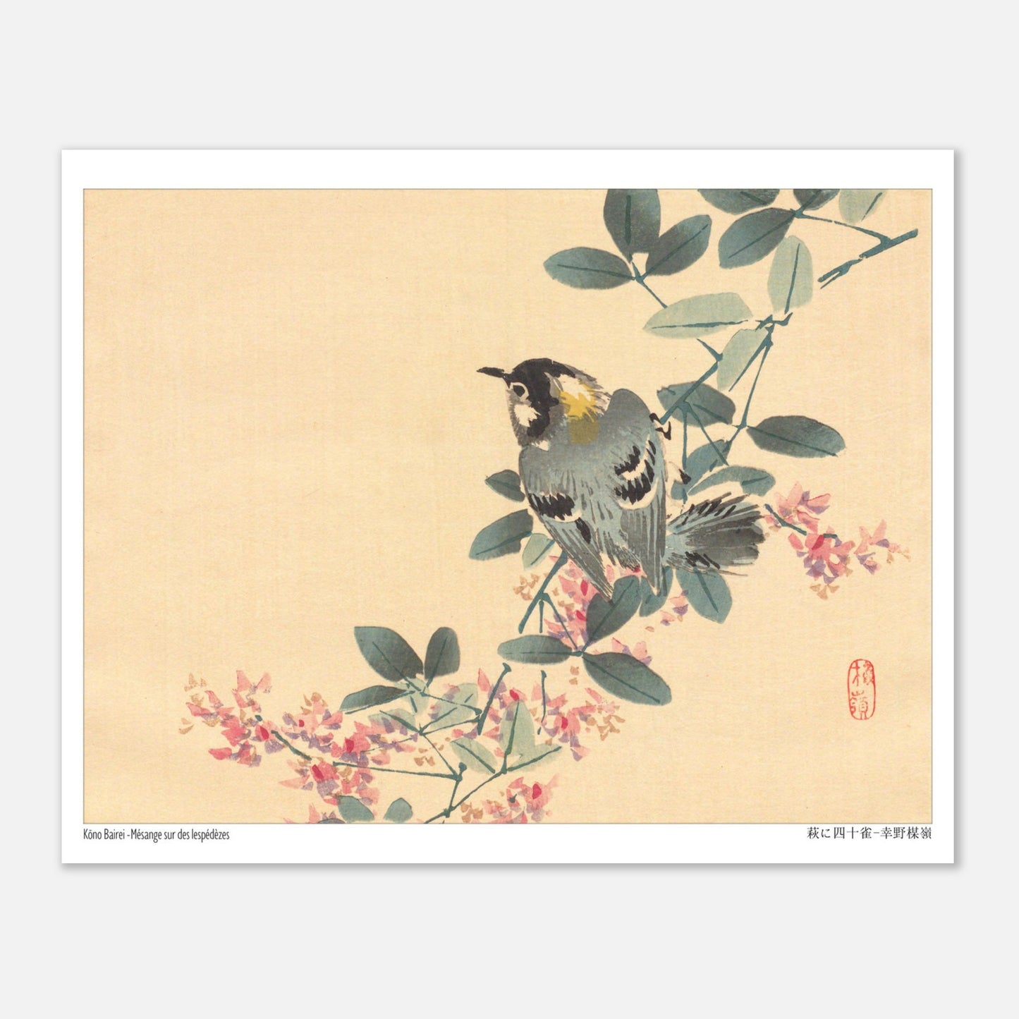 Estampe Japonaise d'une Mésange sur une Branche de Lespédèze par Kōno Bairei (20x25 cm). Une estampe japonaise représentant une mésange perchée sur une branche fleurie de lespédèze.