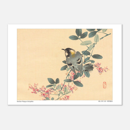Estampe Japonaise d'une Mésange sur une Branche de Lespédèze par Kōno Bairei (21x29,7 cm (A4)). Une estampe japonaise représentant une mésange perchée sur une branche fleurie de lespédèze.