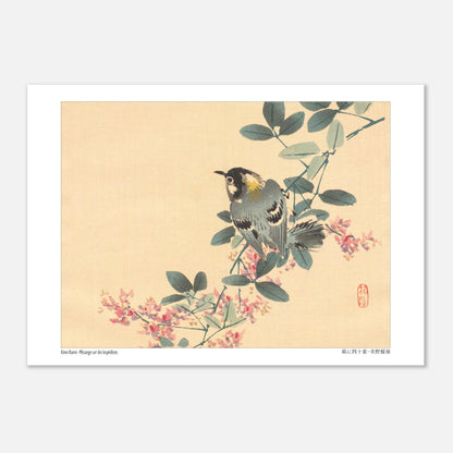 Estampe Japonaise d'une Mésange sur une Branche de Lespédèze par Kōno Bairei (29,7x42 cm (A3)). Une estampe japonaise représentant une mésange perchée sur une branche fleurie de lespédèze.