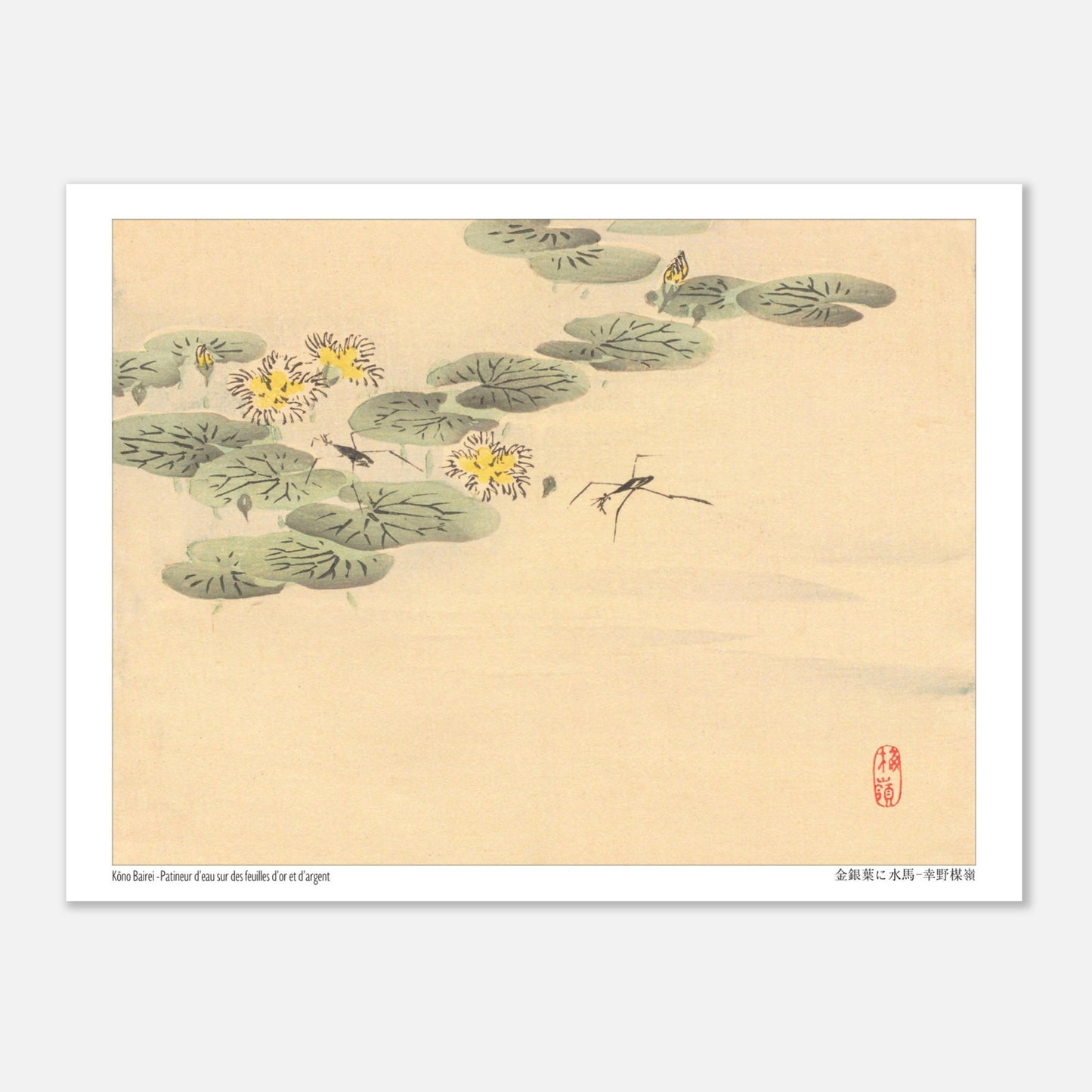 Estampe Japonaise de Nénuphars et Insectes par Kōno Bairei (15x20 cm). Illustration naturaliste de Kōno Bairei représentant des nénuphars avec des fleurs jaunes et des insectes, sur fond beige.