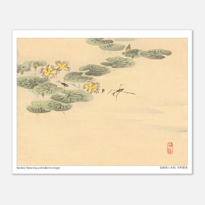 Estampe Japonaise de Nénuphars et Insectes par Kōno Bairei (20x25 cm). Illustration naturaliste de Kōno Bairei représentant des nénuphars avec des fleurs jaunes et des insectes, sur fond beige.