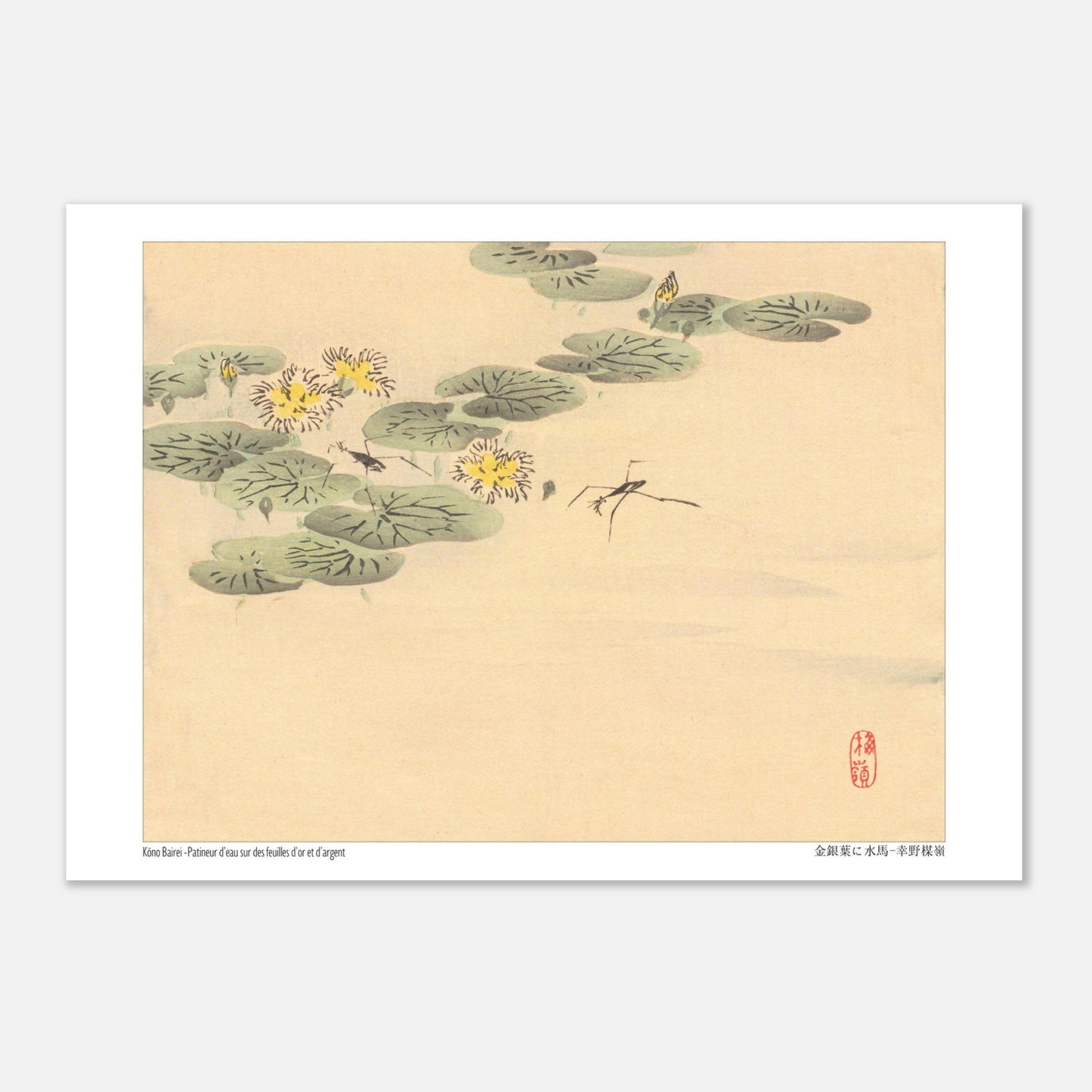 Estampe Japonaise de Nénuphars et Insectes par Kōno Bairei (21x29,7 cm (A4)). Illustration naturaliste de Kōno Bairei représentant des nénuphars avec des fleurs jaunes et des insectes, sur fond beige.