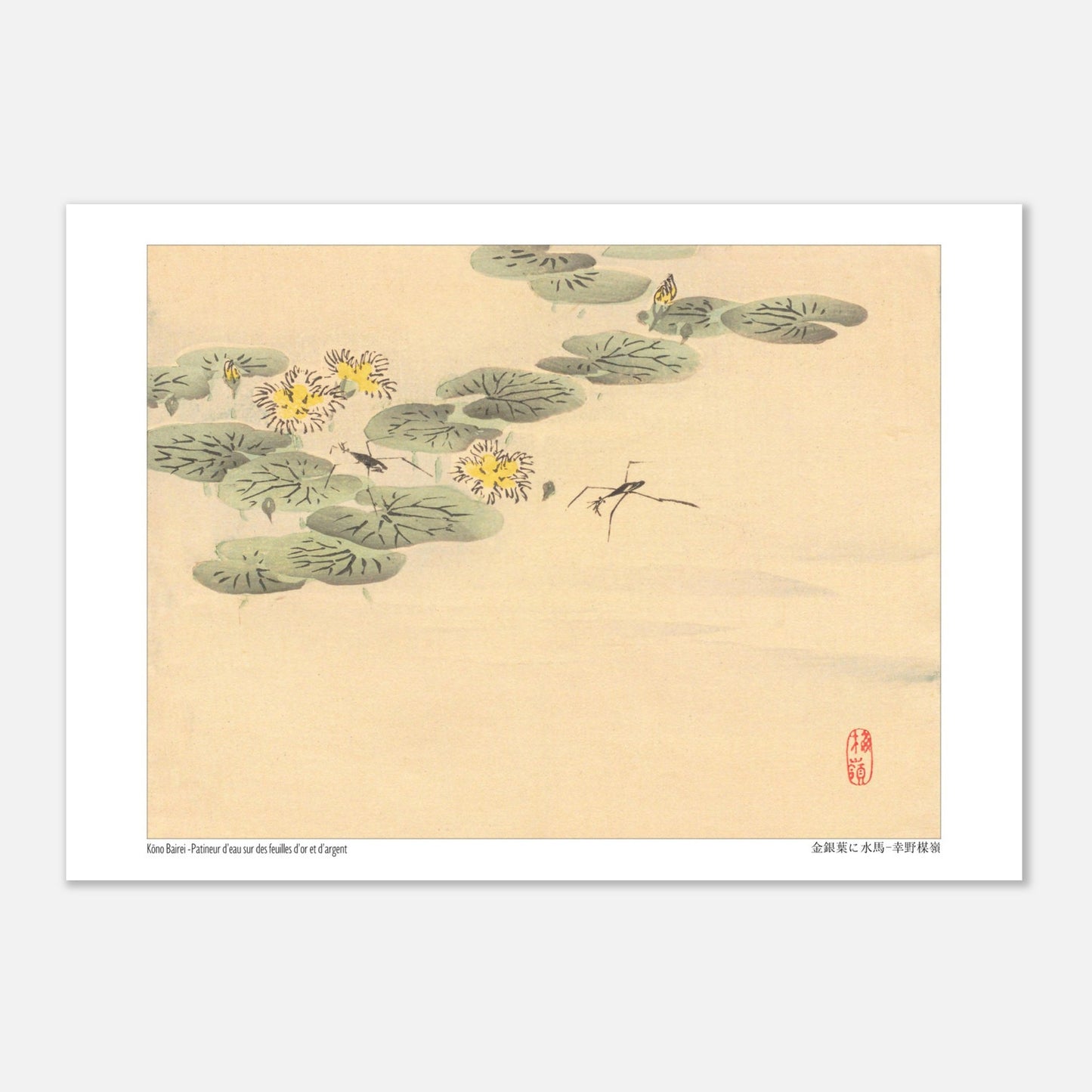 Estampe Japonaise de Nénuphars et Insectes par Kōno Bairei (29,7x42 cm (A3)). Illustration naturaliste de Kōno Bairei représentant des nénuphars avec des fleurs jaunes et des insectes, sur fond beige.