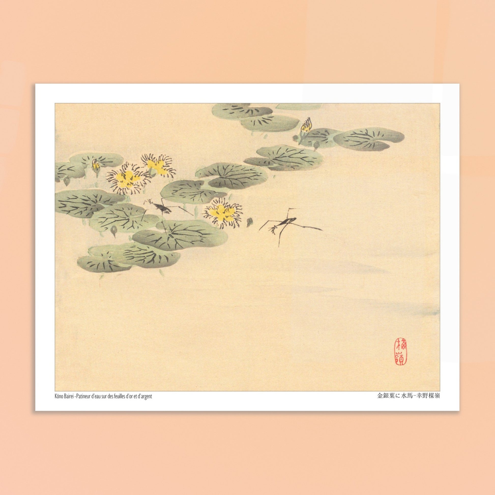 Estampe Japonaise de Nénuphars et Insectes par Kōno Bairei. Illustration naturaliste de Kōno Bairei représentant des nénuphars avec des fleurs jaunes et des insectes, sur fond beige. Image d'illustration 6