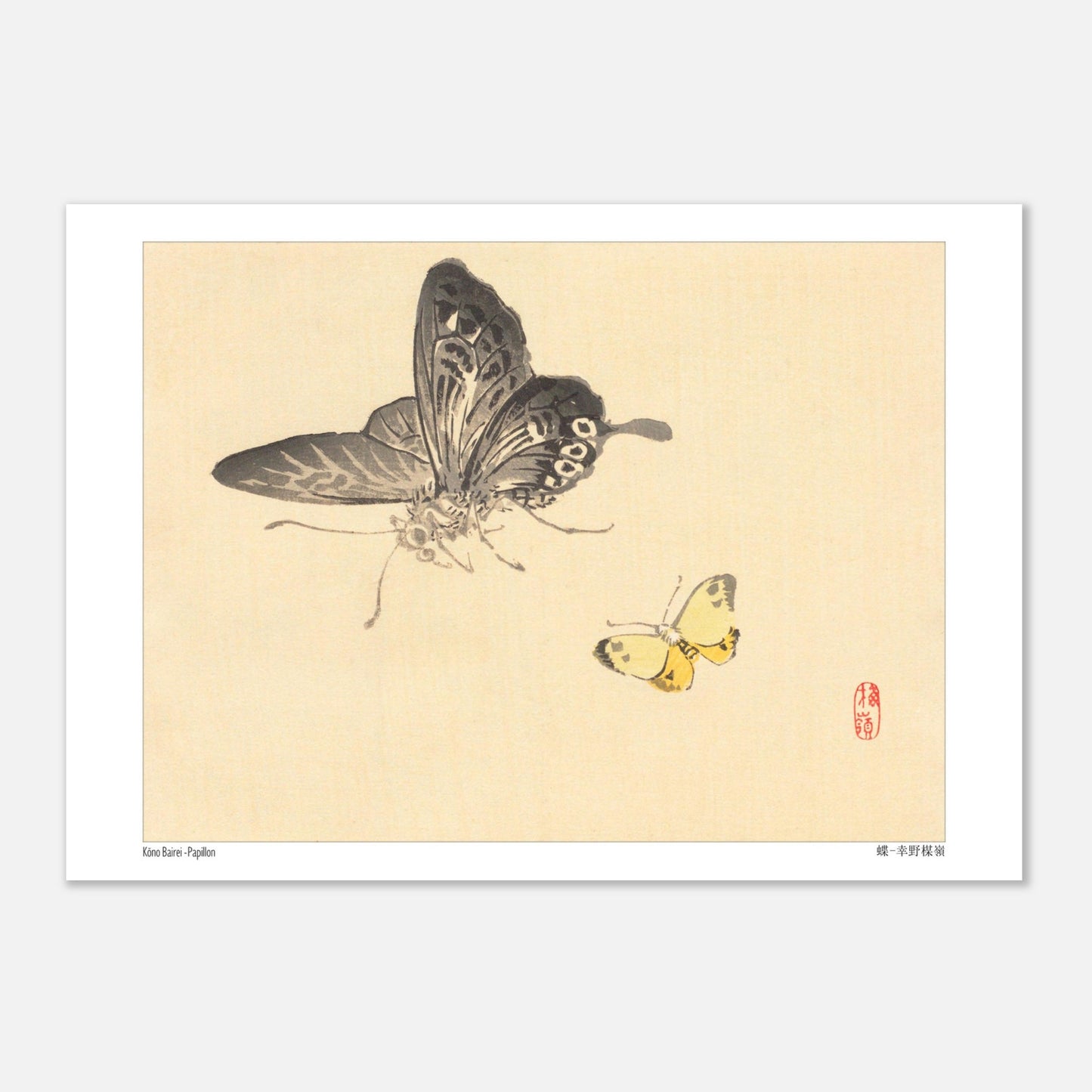 Estampe Japonaise de Papillons par Kōno Bairei (21x29,7 cm (A4)). Illustration de Kōno Bairei montrant un grand papillon noir et blanc et un petit papillon jaune, sur fond beige.