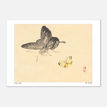 Estampe Japonaise de Papillons par Kōno Bairei (29,7x42 cm (A3)). Illustration de Kōno Bairei montrant un grand papillon noir et blanc et un petit papillon jaune, sur fond beige.