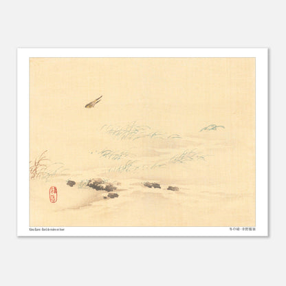 Paysage d'hiver japonais avec oiseaux, estampe de Kōno Bairei (15x20 cm). Un paysage d'hiver avec de l'herbe sèche près d'un plan d'eau glacé, et deux oiseaux volant dans le ciel, dans un style d'estampe japonaise.