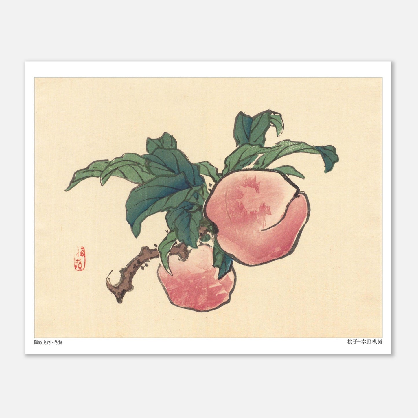 Illustration botanique d'une pêche sur sa branche par Kōno Bairei (20x25 cm). Illustration d'une pêche sur une branche avec des feuilles vertes.