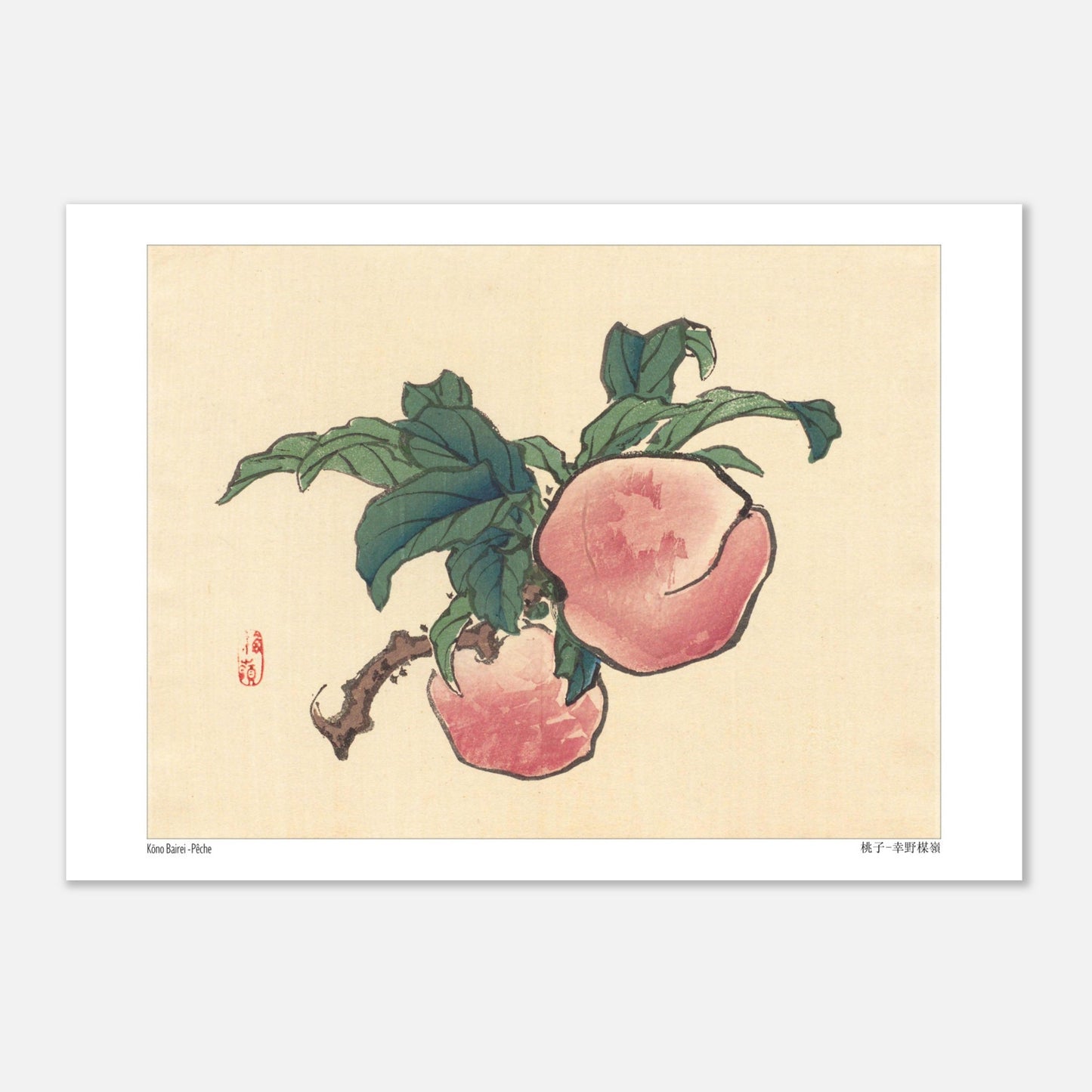 Illustration botanique d'une pêche sur sa branche par Kōno Bairei (29,7x42 cm (A3)). Illustration d'une pêche sur une branche avec des feuilles vertes.
