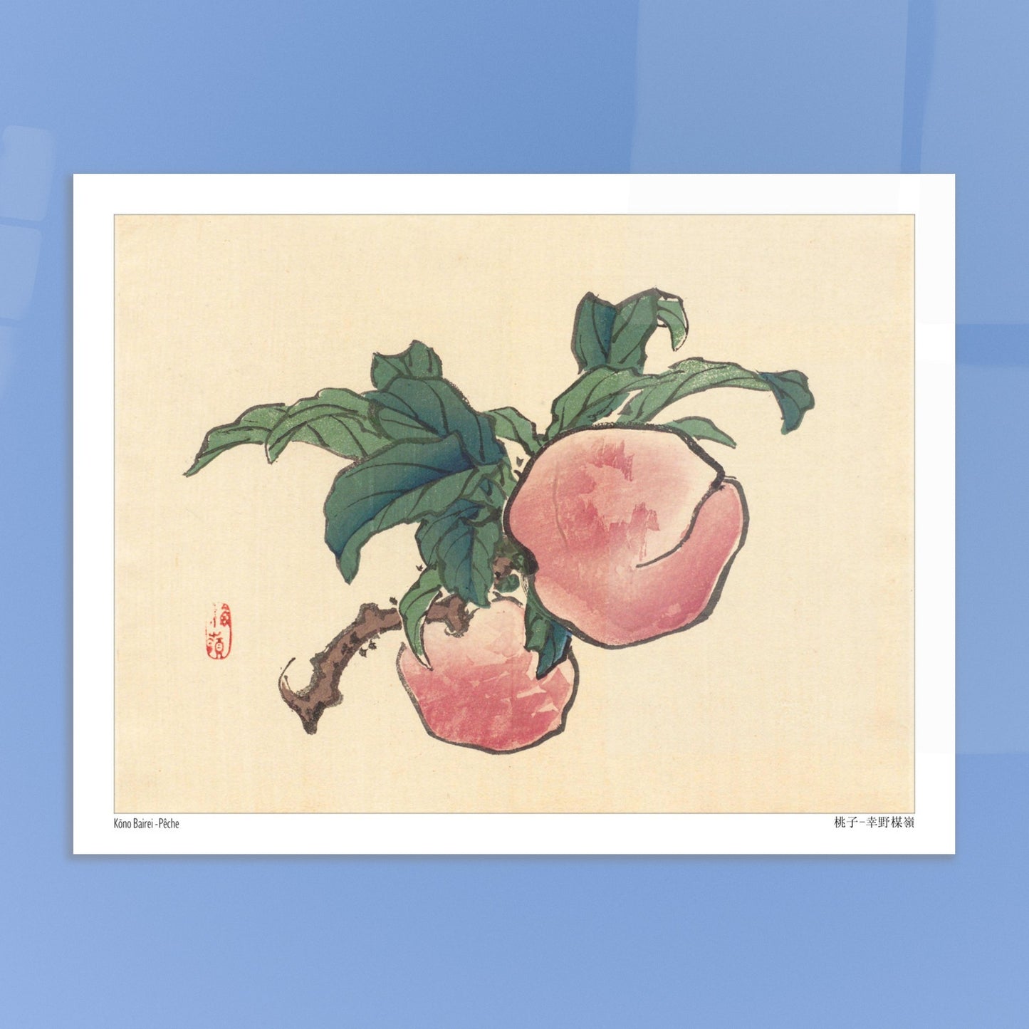 Illustration botanique d'une pêche sur sa branche par Kōno Bairei. Illustration d'une pêche sur une branche avec des feuilles vertes. Image d'illustration 5