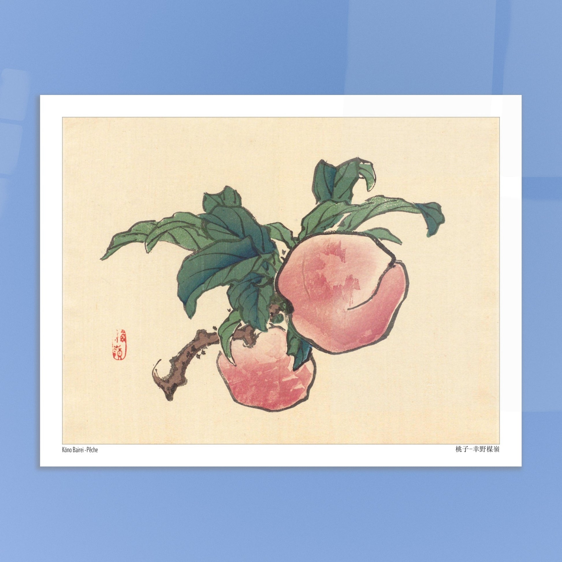 Illustration botanique d'une pêche sur sa branche par Kōno Bairei. Illustration d'une pêche sur une branche avec des feuilles vertes. Image d'illustration 5