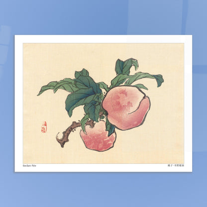 Illustration botanique d'une pêche sur sa branche par Kōno Bairei. Illustration d'une pêche sur une branche avec des feuilles vertes. Image d'illustration 5