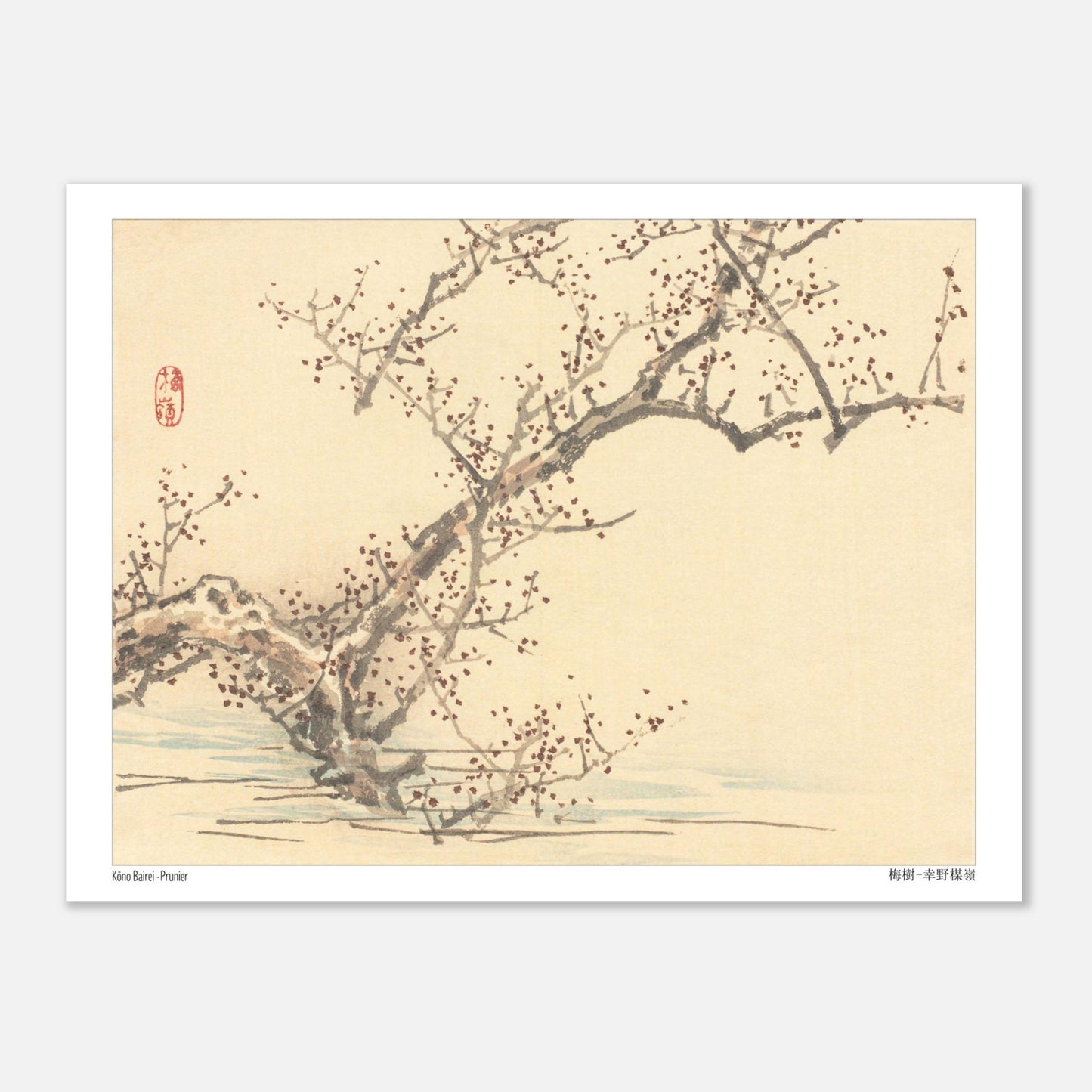Estampe japonaise d'un prunier en fleurs par Kōno Bairei (15x20 cm). Une estampe japonaise représentant un prunier en fleurs avec de petites fleurs rouges sur ses branches nues, dans le style de Kōno Bairei.