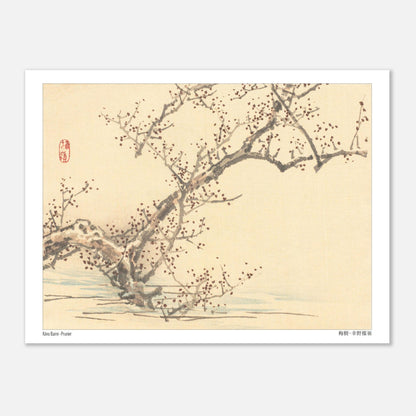 Estampe japonaise d'un prunier en fleurs par Kōno Bairei (15x20 cm). Une estampe japonaise représentant un prunier en fleurs avec de petites fleurs rouges sur ses branches nues, dans le style de Kōno Bairei.