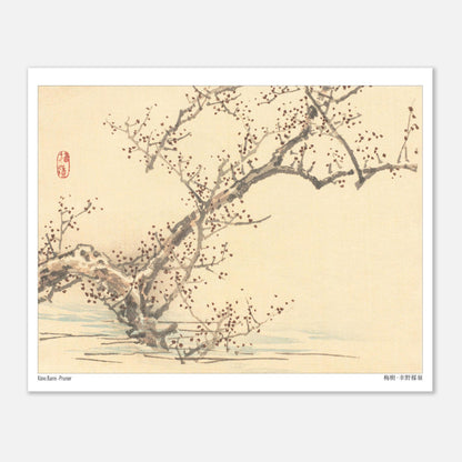 Estampe japonaise d'un prunier en fleurs par Kōno Bairei (20x25 cm). Une estampe japonaise représentant un prunier en fleurs avec de petites fleurs rouges sur ses branches nues, dans le style de Kōno Bairei.
