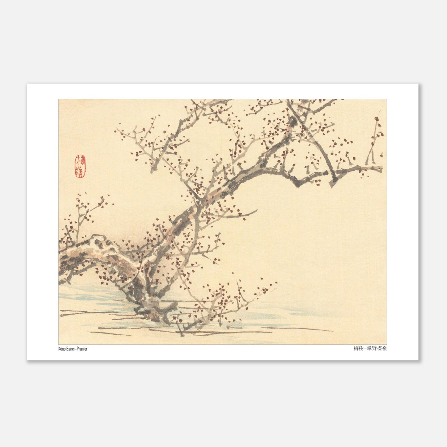 Estampe japonaise d'un prunier en fleurs par Kōno Bairei (21x29,7 cm (A4)). Une estampe japonaise représentant un prunier en fleurs avec de petites fleurs rouges sur ses branches nues, dans le style de Kōno Bairei.
