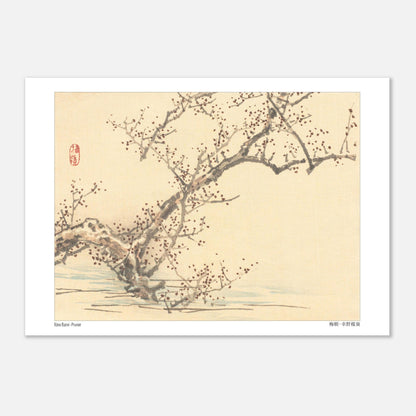 Estampe japonaise d'un prunier en fleurs par Kōno Bairei (21x29,7 cm (A4)). Une estampe japonaise représentant un prunier en fleurs avec de petites fleurs rouges sur ses branches nues, dans le style de Kōno Bairei.