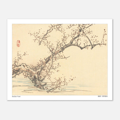 Estampe japonaise d'un prunier en fleurs par Kōno Bairei (27x35 cm). Une estampe japonaise représentant un prunier en fleurs avec de petites fleurs rouges sur ses branches nues, dans le style de Kōno Bairei.