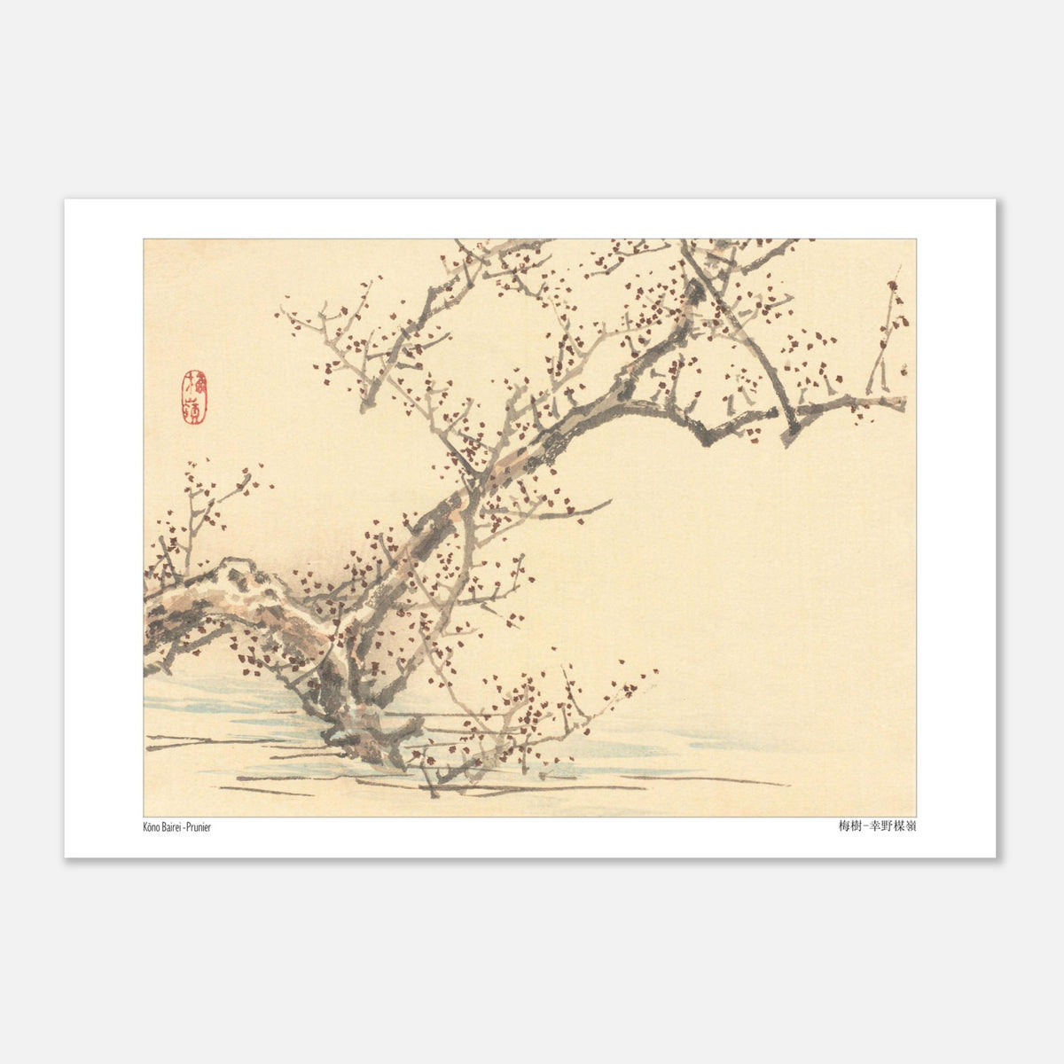 Japanischer Holzschnitt eines blühenden Pflaumenbaums von Kono Bairei (29,7x42 cm (A3)). Japanischer Holzschnitt eines blühenden Pflaumenbaums mit kleinen roten Blüten auf kahlen Zweigen, im Stil von Kōno Bairei.
