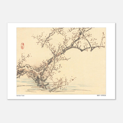 Estampe japonaise d'un prunier en fleurs par Kōno Bairei (29,7x42 cm (A3)). Une estampe japonaise représentant un prunier en fleurs avec de petites fleurs rouges sur ses branches nues, dans le style de Kōno Bairei.
