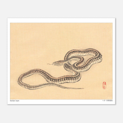 Planche zoologique d'un Serpent par l'artiste Kōno Bairei (20x25 cm). Une illustration naturaliste de Kōno Bairei représentant un serpent enroulé sur fond beige.