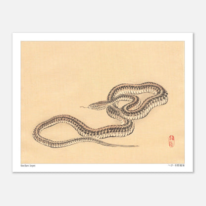 Planche zoologique d'un Serpent par l'artiste Kōno Bairei (27x35 cm). Une illustration naturaliste de Kōno Bairei représentant un serpent enroulé sur fond beige.