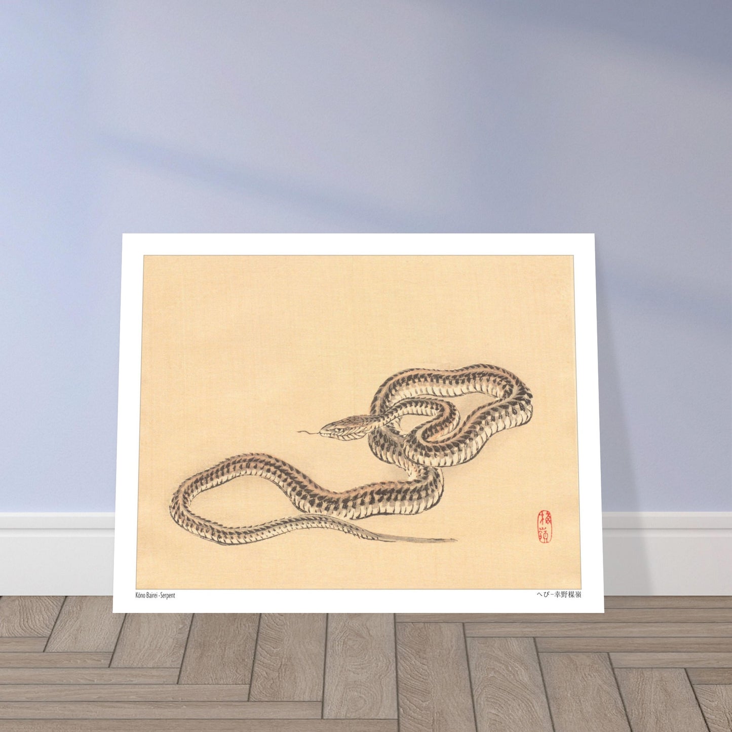 Planche zoologique d'un Serpent par l'artiste Kōno Bairei. Une illustration naturaliste de Kōno Bairei représentant un serpent enroulé sur fond beige. Image d'illustration 5