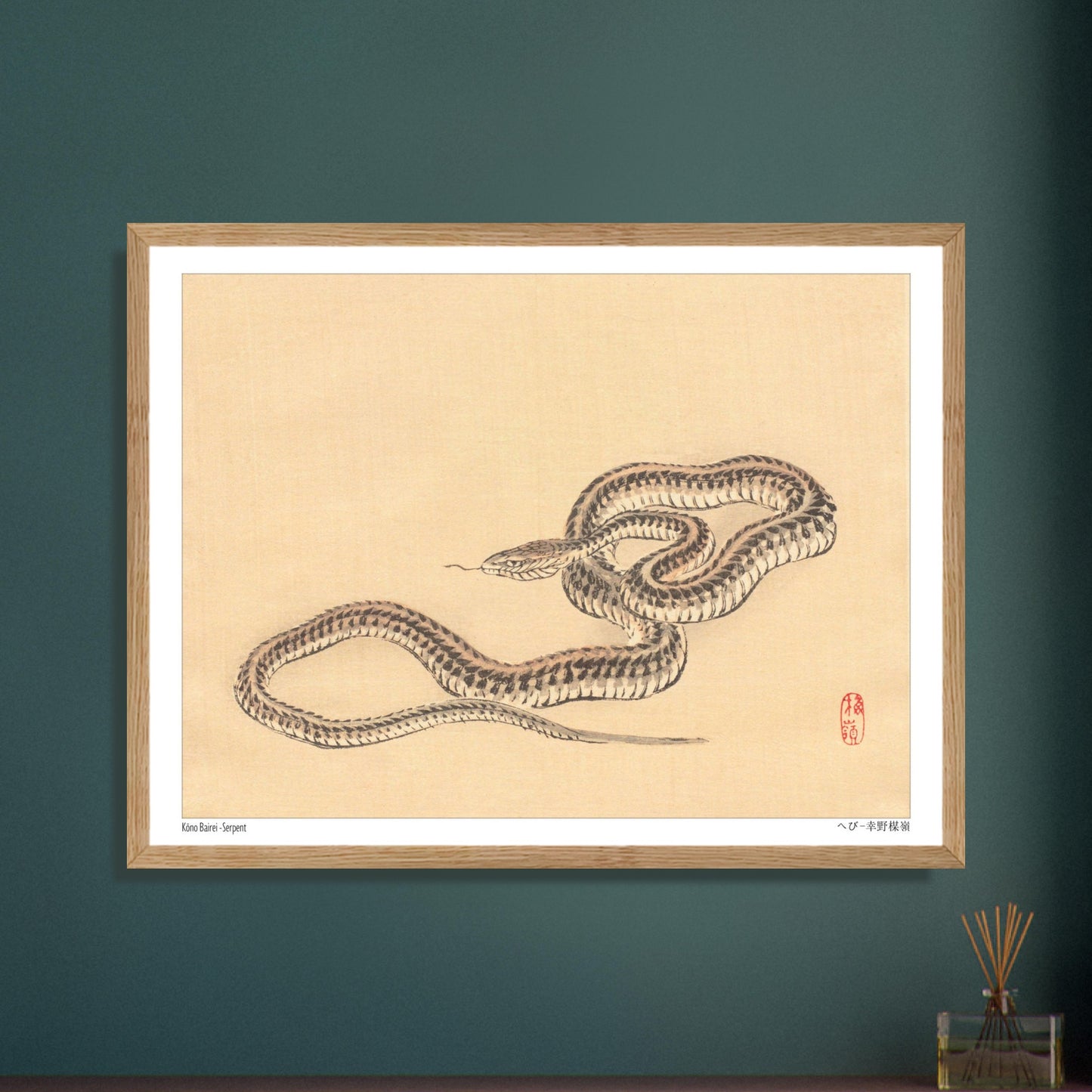 Planche zoologique d'un Serpent par l'artiste Kōno Bairei. Une illustration naturaliste de Kōno Bairei représentant un serpent enroulé sur fond beige. Image d'illustration 6