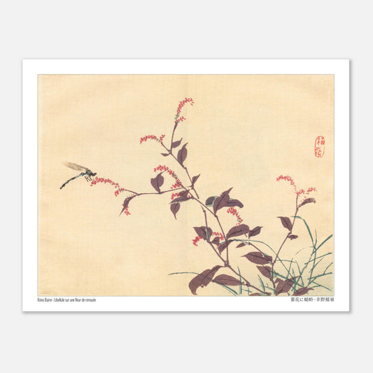 Libellule sur une fleur de Renouée, estampe japonaise de Kōno Bairei (27x35 cm). Une estampe japonaise montrant une libellule posée sur une branche portant de petites fleurs roses.
