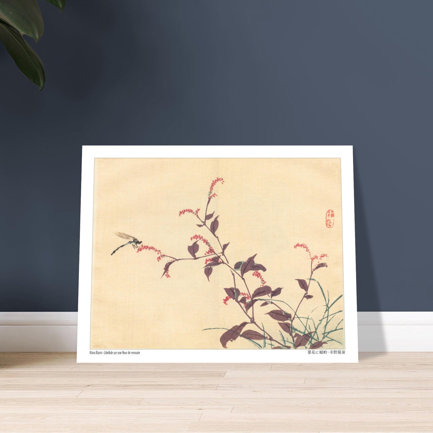 Libellule sur une fleur de Renouée, estampe japonaise de Kōno Bairei. Une estampe japonaise montrant une libellule posée sur une branche portant de petites fleurs roses. Image d'illustration 6