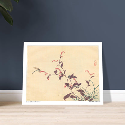 Libellule sur une fleur de Renouée, estampe japonaise de Kōno Bairei. Une estampe japonaise montrant une libellule posée sur une branche portant de petites fleurs roses. Image d'illustration 6