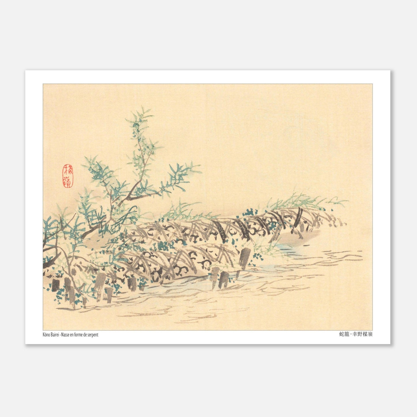 Illustration d'une Nasse en Forme de Serpent (Jakago) par Kōno Bairei (15x20 cm). Dessin d'une nasse en forme de serpent, ornée de petites feuilles et fleurs, dans un environnement aquatique.